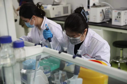 從經(jīng)驗(yàn)熬制到精準(zhǔn)智造 黑龍江中醫(yī)藥大學(xué)攜手網(wǎng)絡(luò)技術(shù)咨詢服務(wù)開啟智慧轉(zhuǎn)型